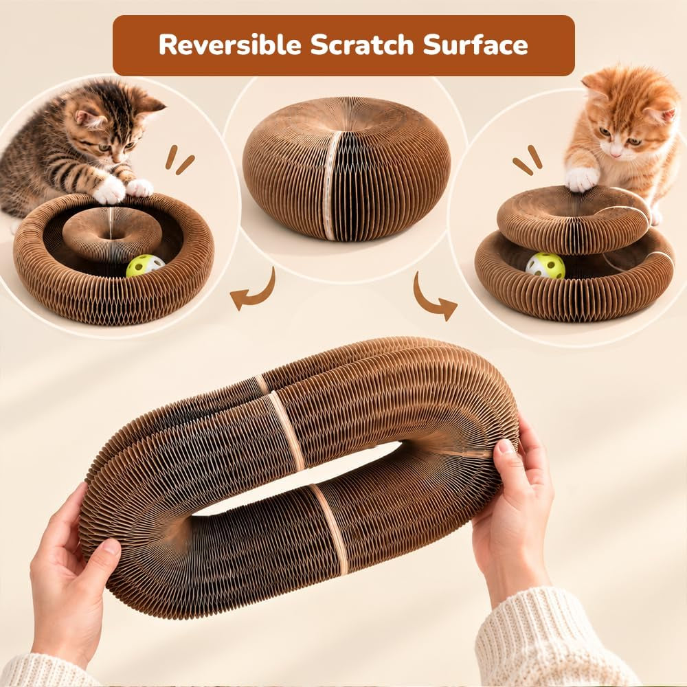 Kitty Kurlzz Cat Toy - Magic Organ Accordion Scratcher with Ball Track, Foldable Honeycomb Cardboard Scratching Board, Reversible Interactive Toy for Indoor Cats - Magic Cat Scratch Board (Cat Face)